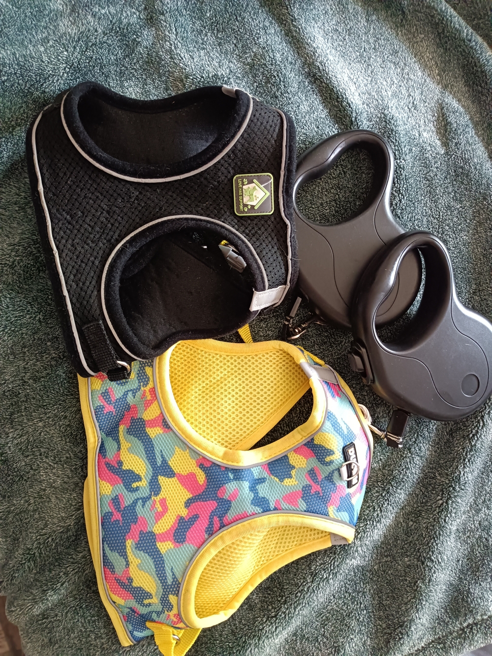 Dog Harnesses And Retractable Leashes
